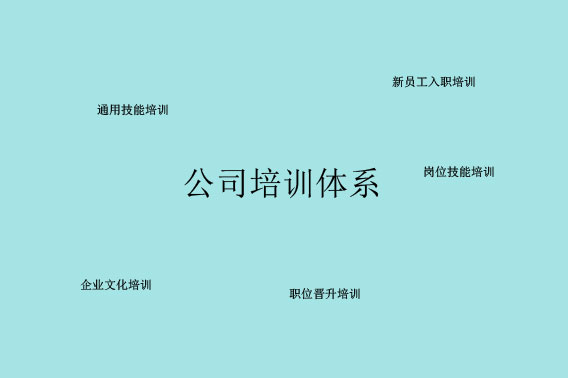 专业技能培训